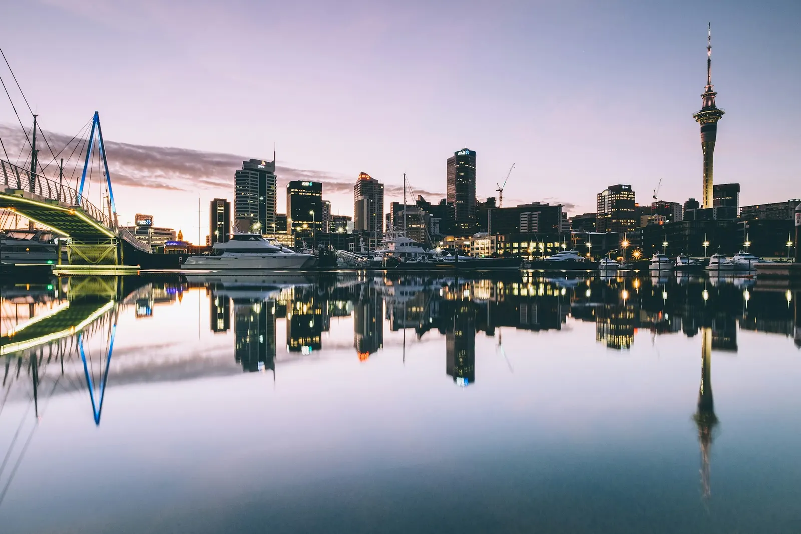 New Zealand Scams 2025: The $2.3 Billion Crisis – When "She'll Be Right" Meets Organized Crime