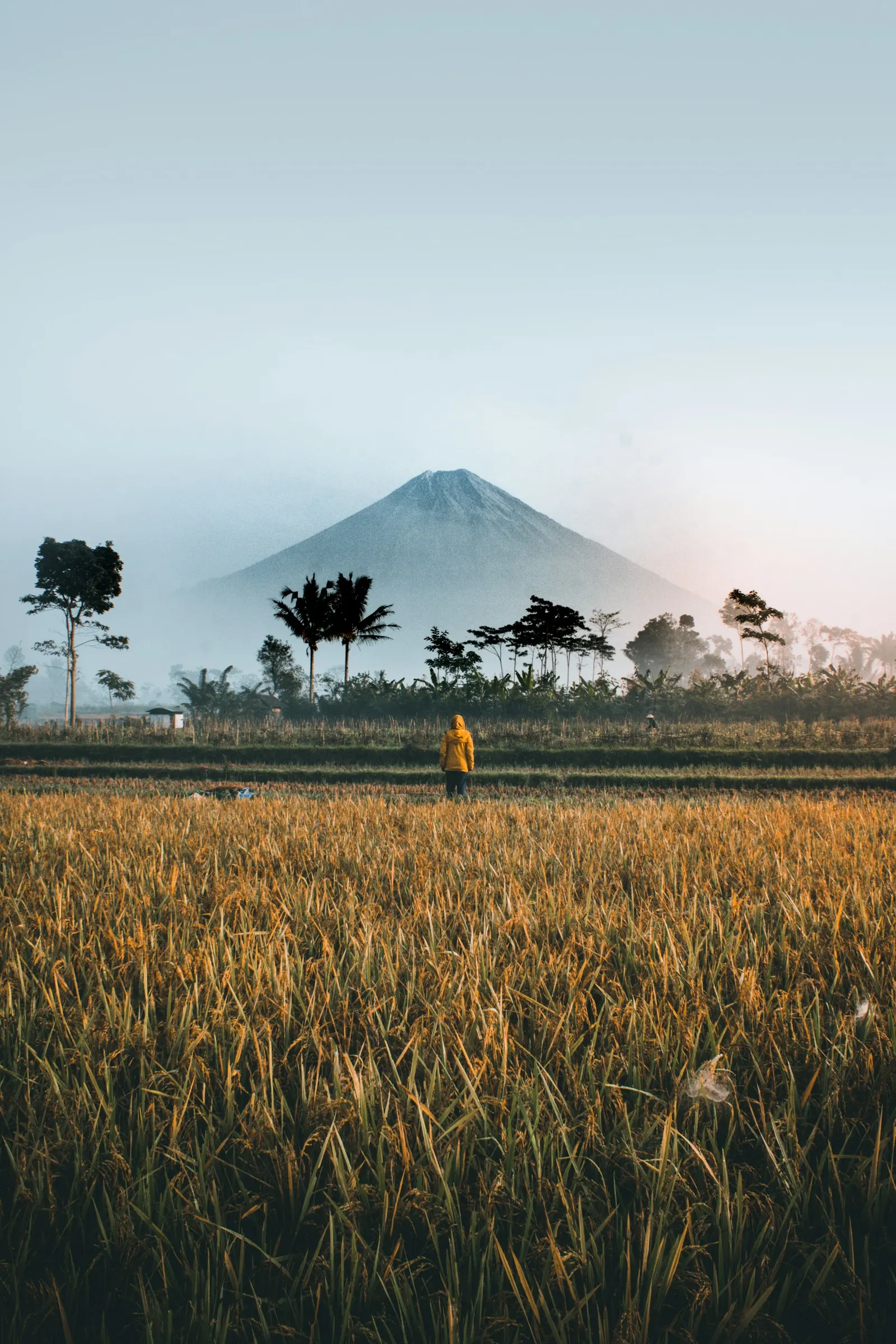 Indonesia Scams 2025: The Digital Payment Revolution's Dark Shadow – $438 Million Lost and Counting