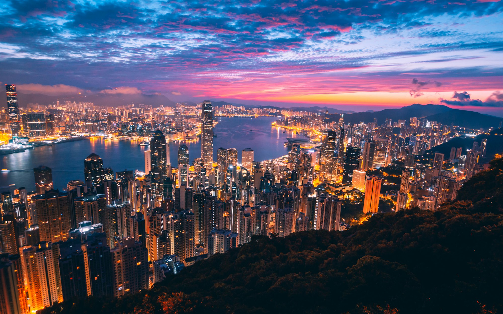 Hong Kong Scams 2025: Asia's Financial Crown Jewel Under Siege – When Triads Go Digital and Pig Butchering Meets High Finance