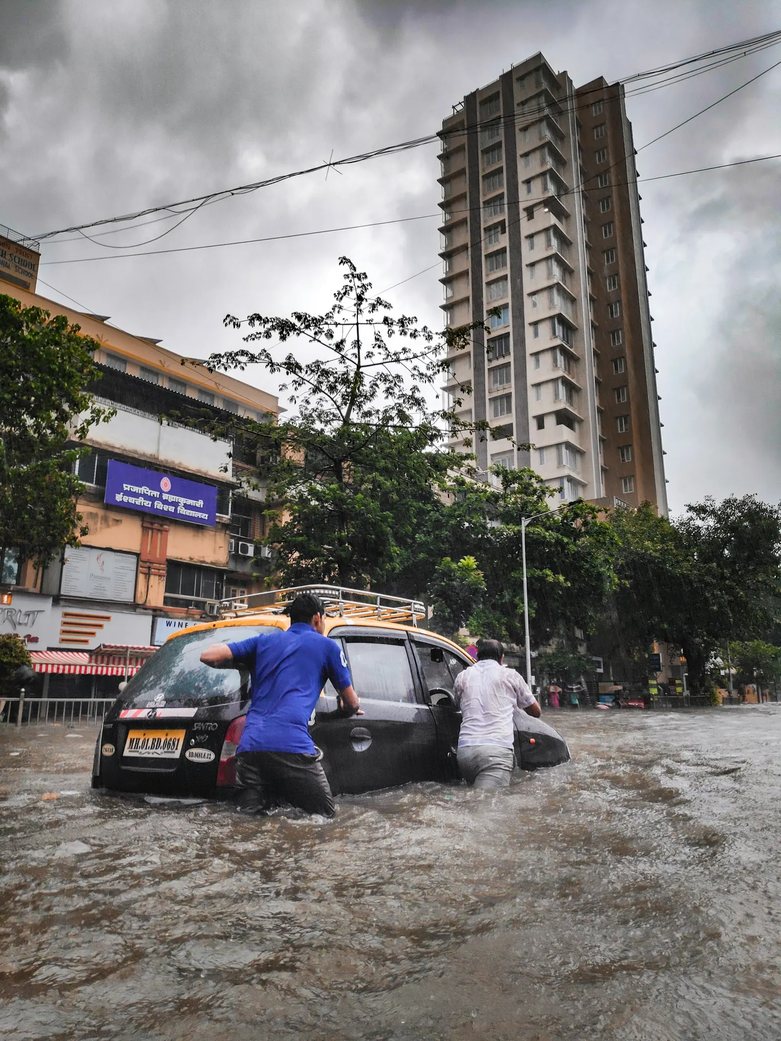 Disaster Profiteers: Complete Guide to Avoiding Hurricane and Natural Disaster Scams