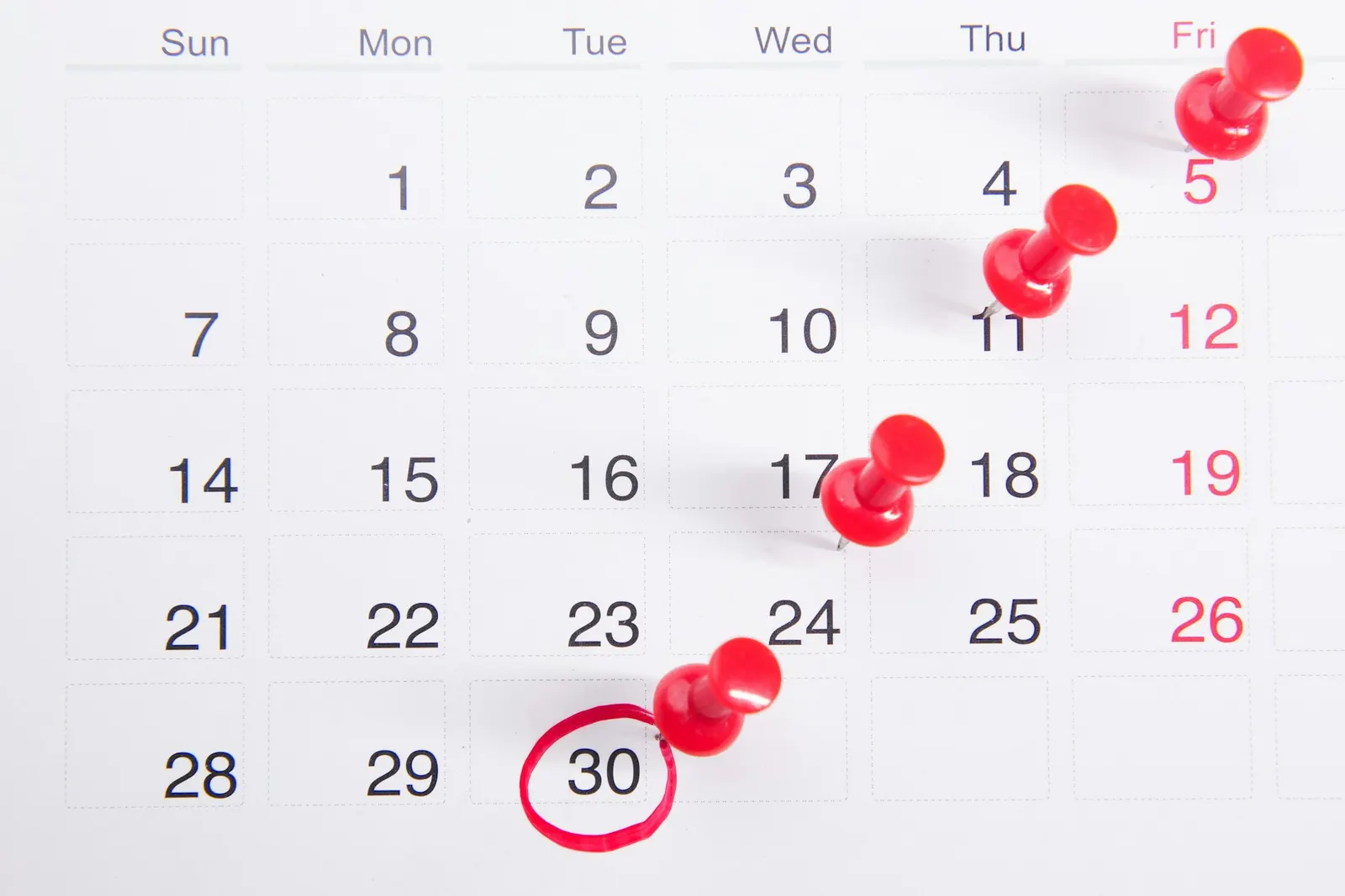 Scammer Calendar: A Year-Round Guide to Scams and Their Peak Times